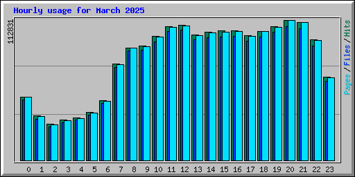 Hourly usage for March 2025
