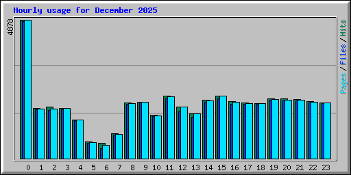 Hourly usage for December 2025