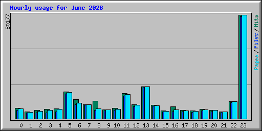 Hourly usage for June 2026