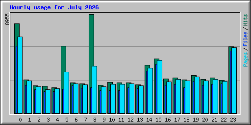Hourly usage for July 2026