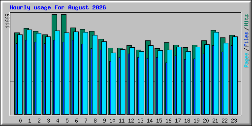 Hourly usage for August 2026