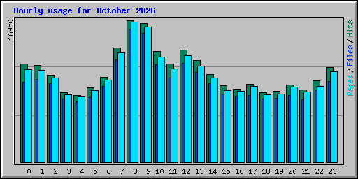 Hourly usage for October 2026