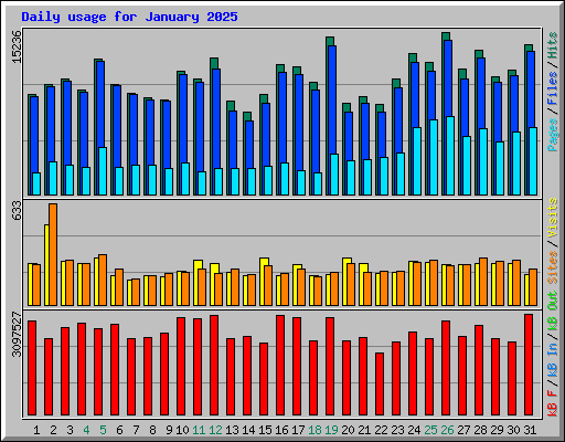 Daily usage for January 2025