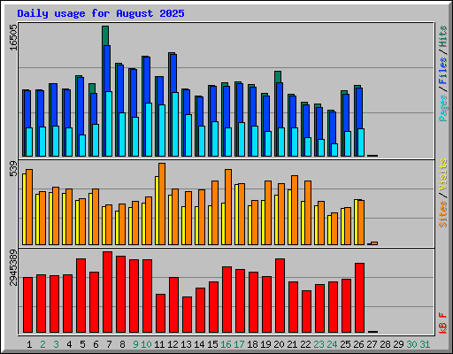 Daily usage for August 2025