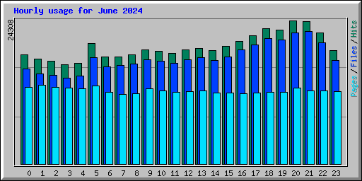 Hourly usage for June 2024