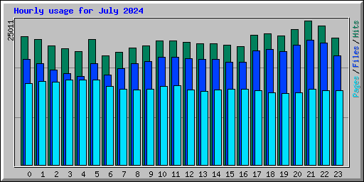 Hourly usage for July 2024