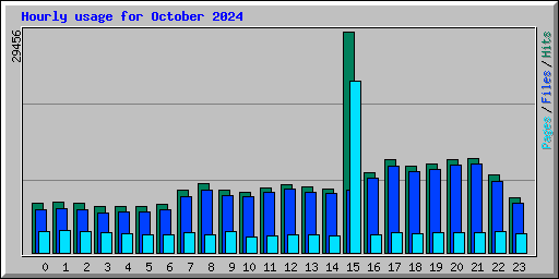 Hourly usage for October 2024