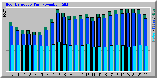 Hourly usage for November 2024