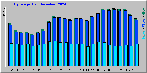 Hourly usage for December 2024