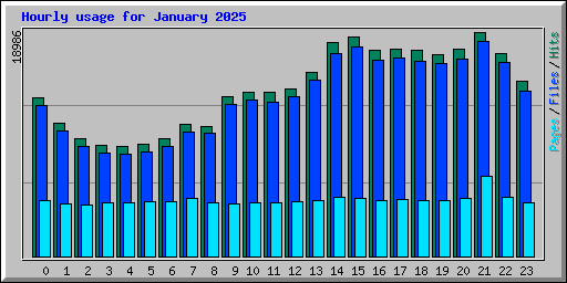Hourly usage for January 2025