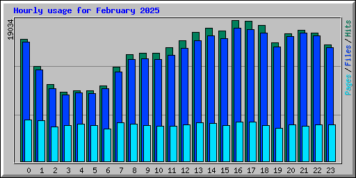 Hourly usage for February 2025