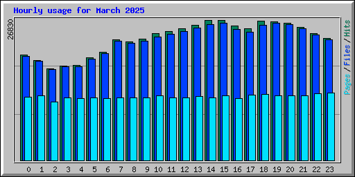 Hourly usage for March 2025