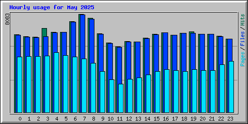 Hourly usage for May 2025