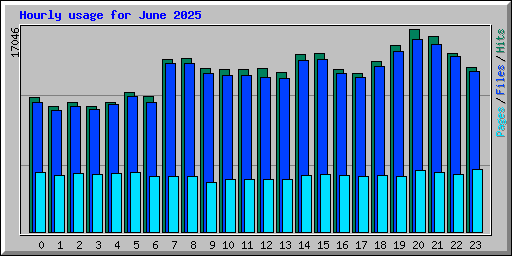Hourly usage for June 2025