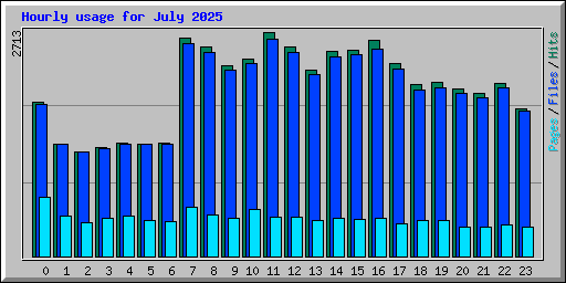 Hourly usage for July 2025