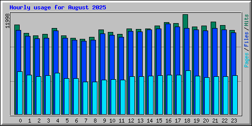 Hourly usage for August 2025