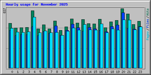 Hourly usage for November 2025