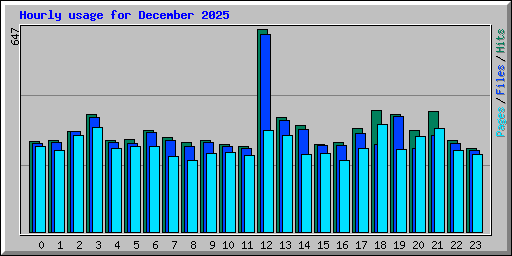 Hourly usage for December 2025