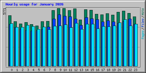 Hourly usage for January 2026