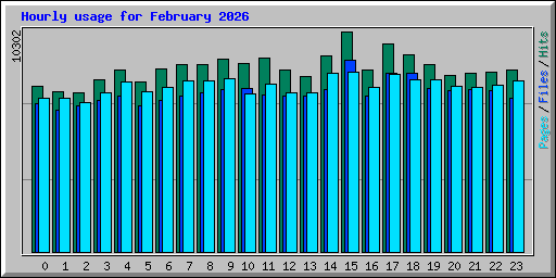 Hourly usage for February 2026