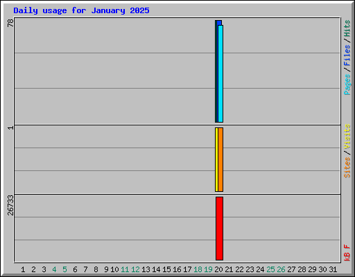 Daily usage for January 2025