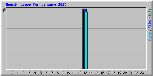 Hourly usage for January 2025