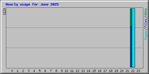Hourly usage for June 2025